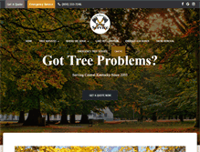 Tablet Screenshot of centralkytreeservice.com